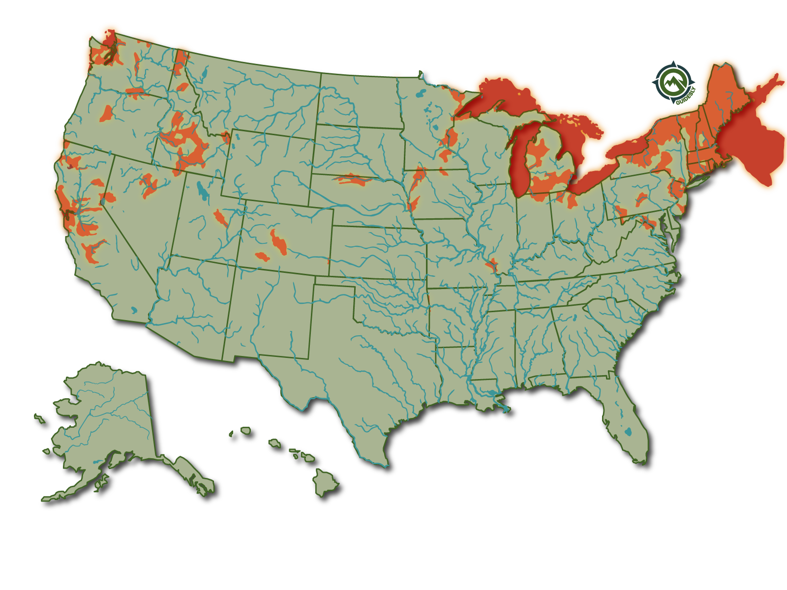 Learn About The Atlantic Salmon