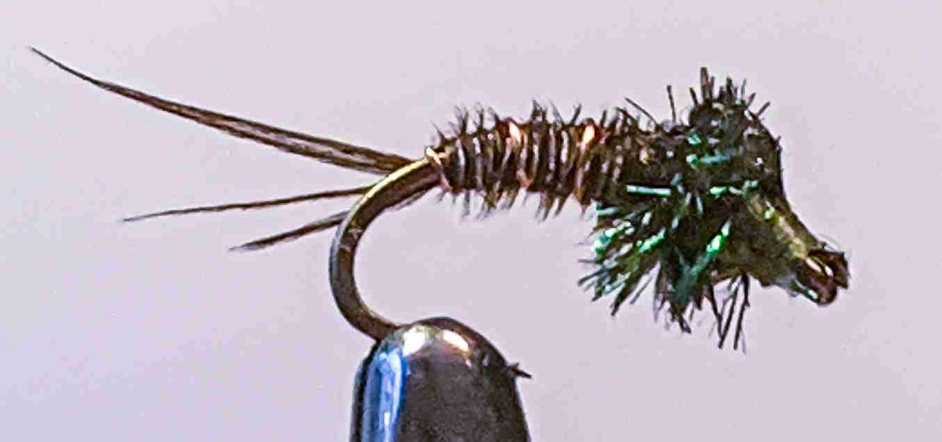 Nymphing, Introduction to the Art of Nymph Fly Fishing