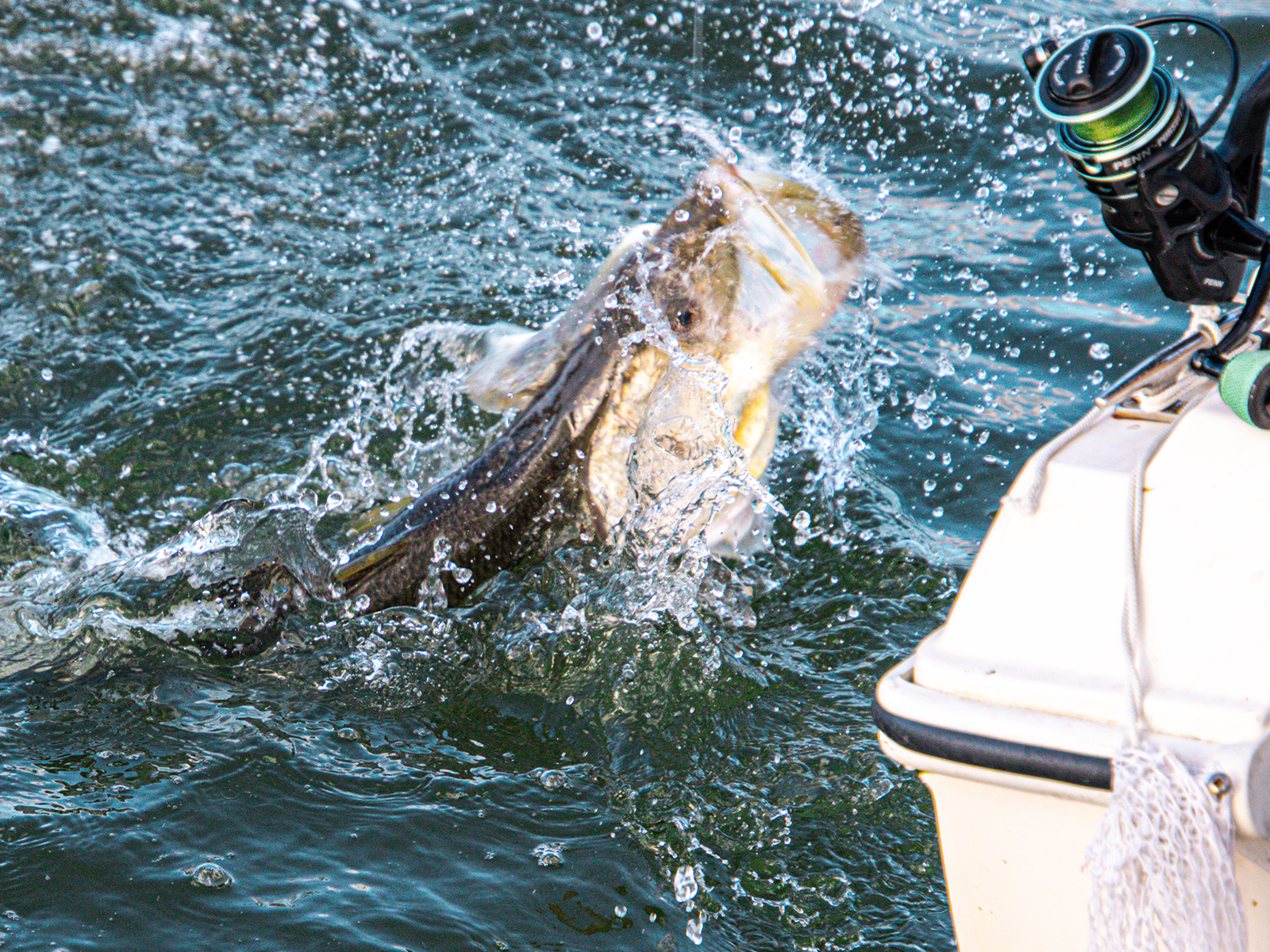 fishing planet unique snook florida