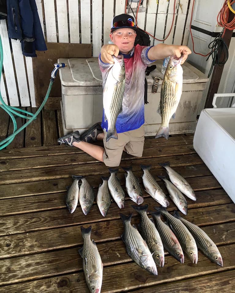 Striped Bass in Lake Texoma