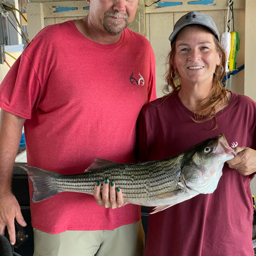 Fish-Species