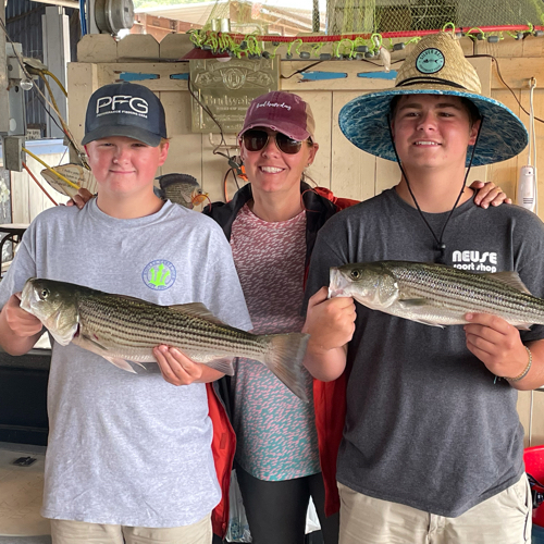 Fish-Species