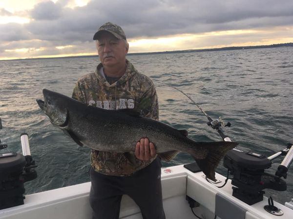 Top-rated Lake Ontario Fishing Charters: Happy Angler Reviews!